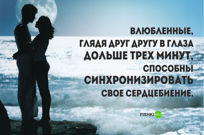 Презентация интересные факты о сердце